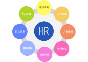 行政管理、人力資源管理、工商企業(yè)管理 企業(yè)管理三大領(lǐng)域的比較與選擇