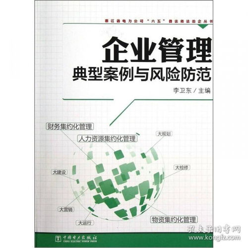 企業(yè)管理典型案例與風(fēng)險(xiǎn)防范