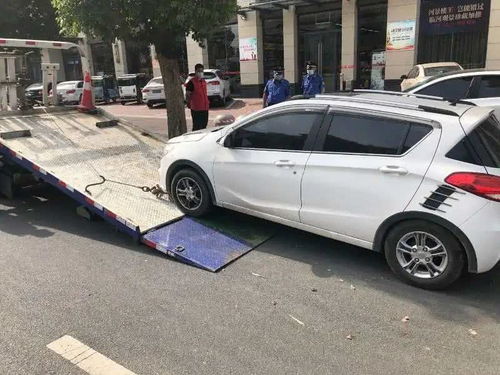 漯河市啟動機動車違停拖移執法，數字化后臺管理系統提升執法效能