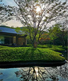 初見園林 佛山園林綠化設(shè)計(jì)施工 小學(xué) 市政 園林綠化養(yǎng)護(hù)