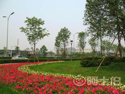 園林綠化工程施工及驗(yàn)收規(guī)范