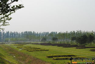 北京市2010年度園林綠化優(yōu)質(zhì)工程開(kāi)評(píng)