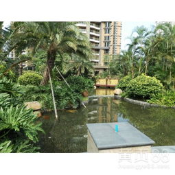 【工廠綠化養(yǎng)護、學校綠化養(yǎng)護、小區(qū)綠化養(yǎng)護修剪、園林綠化施工】-