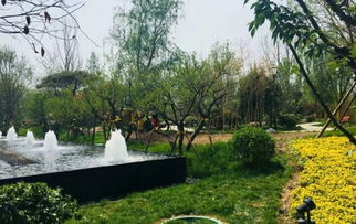 隆基泰和萬和郡動態(tài) 工地施工快馬加鞭園林綠化貼心服務 深圳安居客