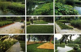 各種綠化、景觀鋪裝工程的設(shè)計(jì)與施工,園林綠化工程的養(yǎng)護(hù);園林綠化苗木、草皮、花卉的種植,銷售(廣西南寧)_CO土木在線