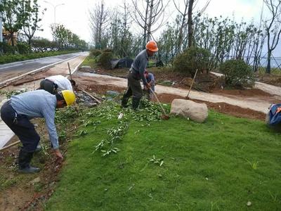 綠化園林工程