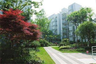 泰盛市政園林工程專業(yè) 專注 專心