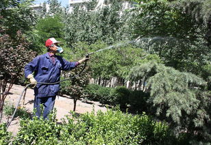 延吉市華天園林綠化 經(jīng)營(yíng)產(chǎn)品介紹 圖