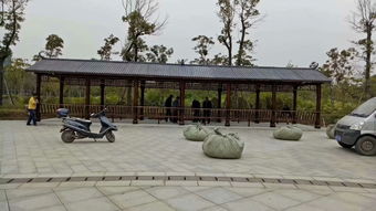 生態(tài)木花架與體育場(chǎng)地設(shè)施工程施工 價(jià)格、耐用性與施工指南