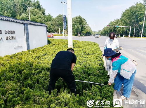 青州市園林綠化和環衛中心 卡準綠化施工精度尺，拉緊項目驗收質量繩——以高標準打造體育場地設施工程